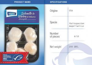 ATLANTIC KING SCALLOP 